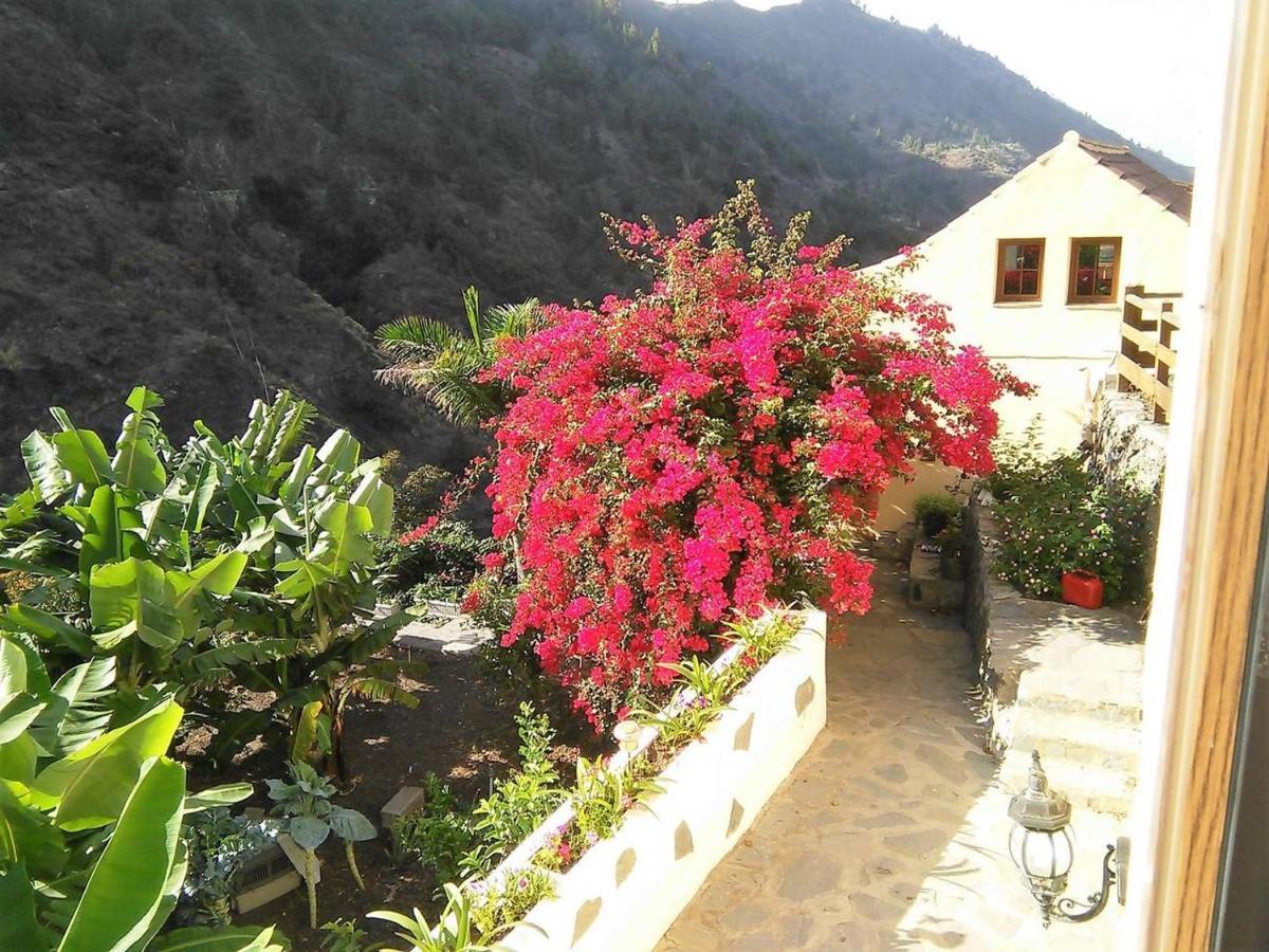 Rivendell Eco Lodge 埃尔帕索 外观 照片