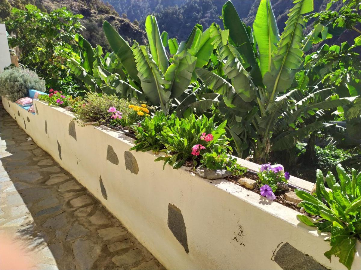 Rivendell Eco Lodge 埃尔帕索 外观 照片