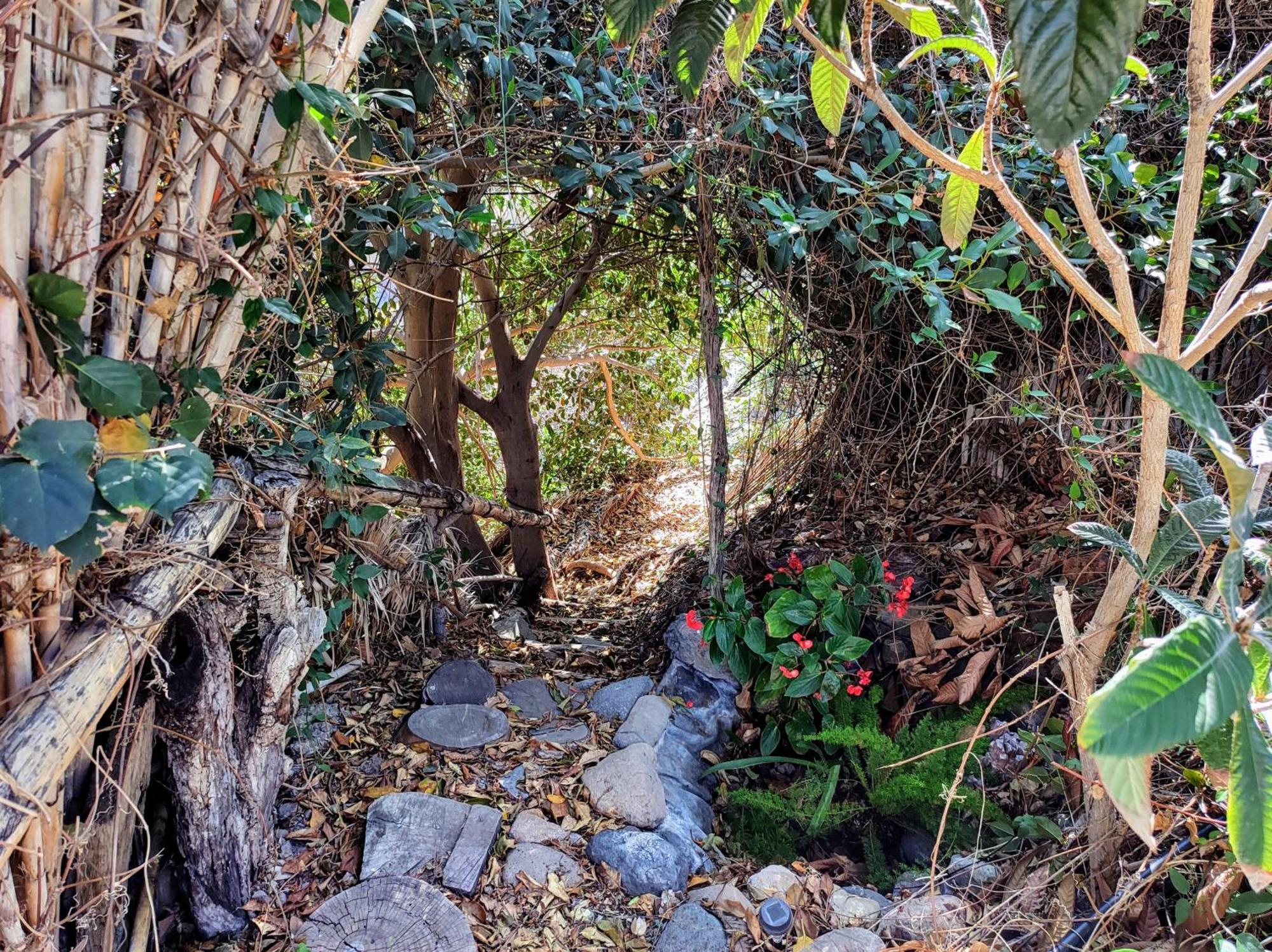 Rivendell Eco Lodge 埃尔帕索 外观 照片